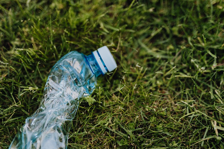 A crumpled, transparent plastic water bottle with a white cap and a blue band near the top lies discarded in a patch of green grass. The bottle’s surface is wrinkled and slightly reflective, reveali